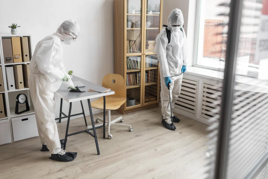 Long Island indoor mold treatment with protective equipment