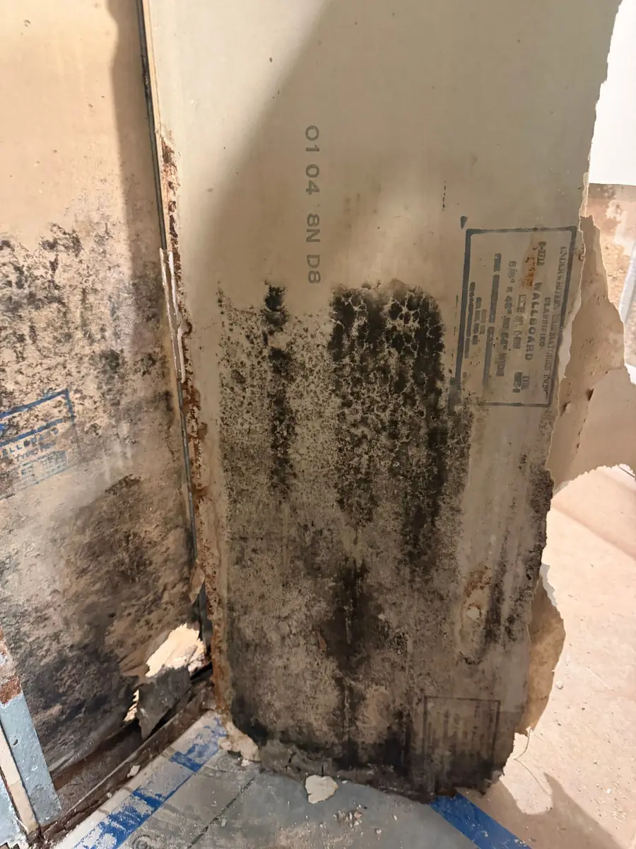 Hidden moisture and mold damage discovered behind a wall