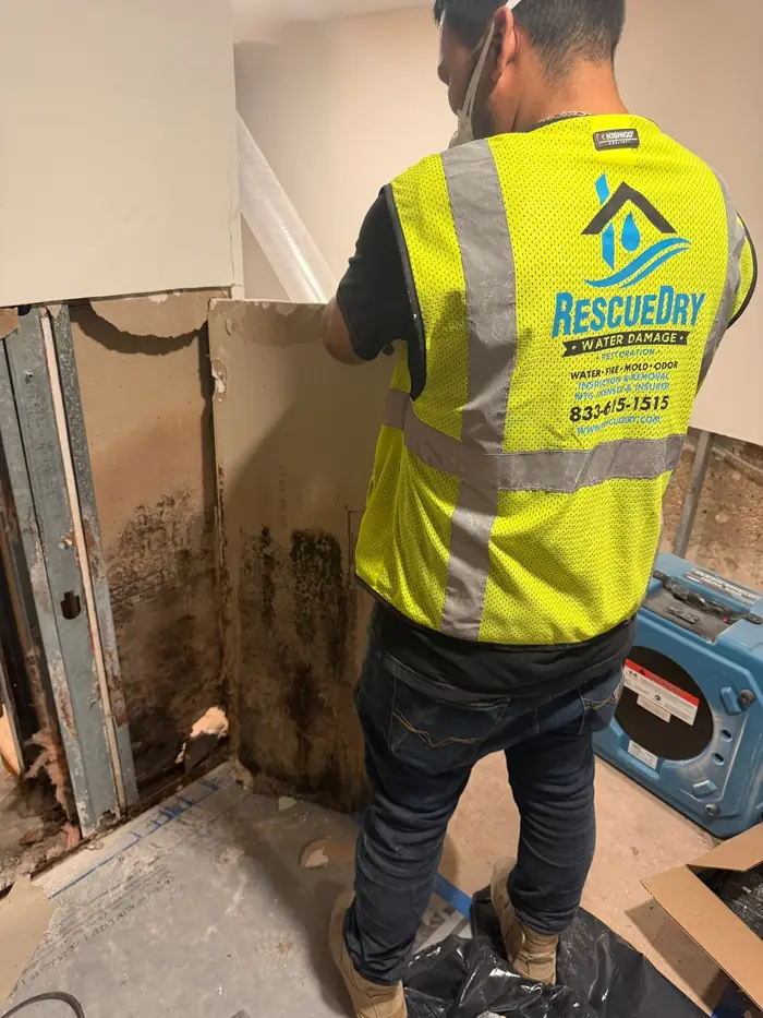 RescueDry technician exposing hidden mold damage