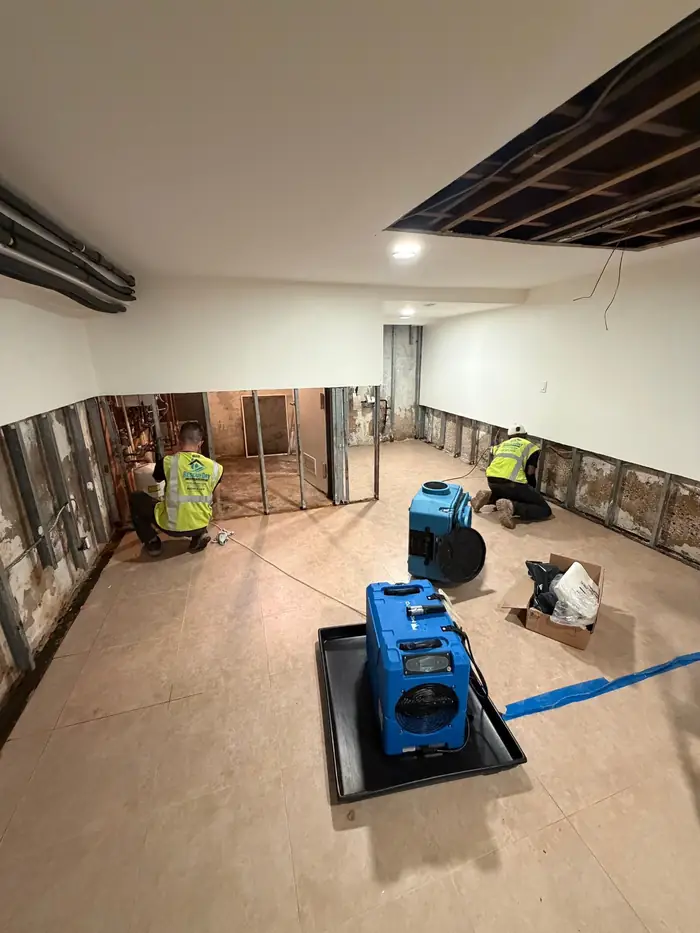 RescueDry mold remediation project after walls were opened