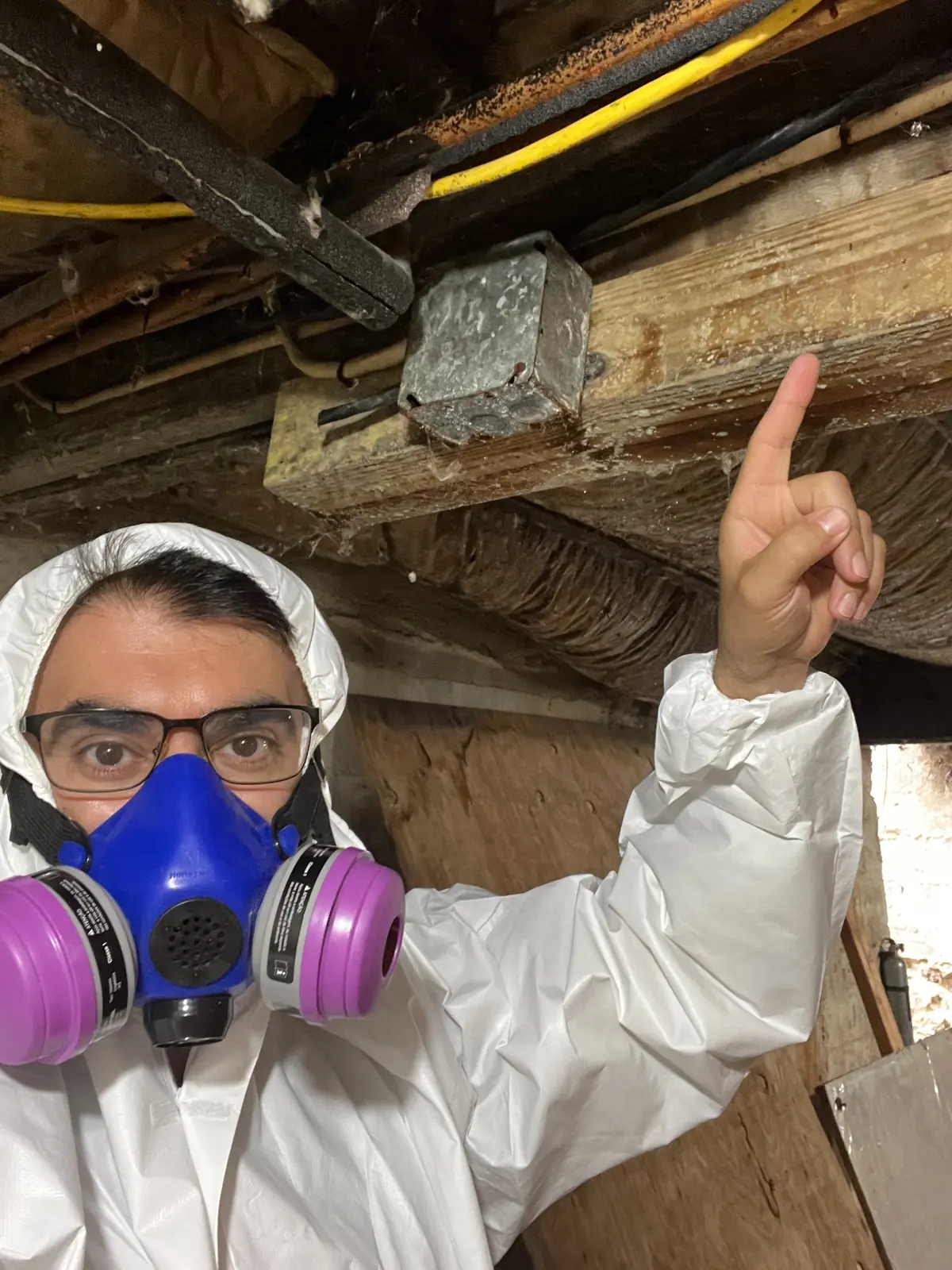 NYS Licensed Mold Inspection